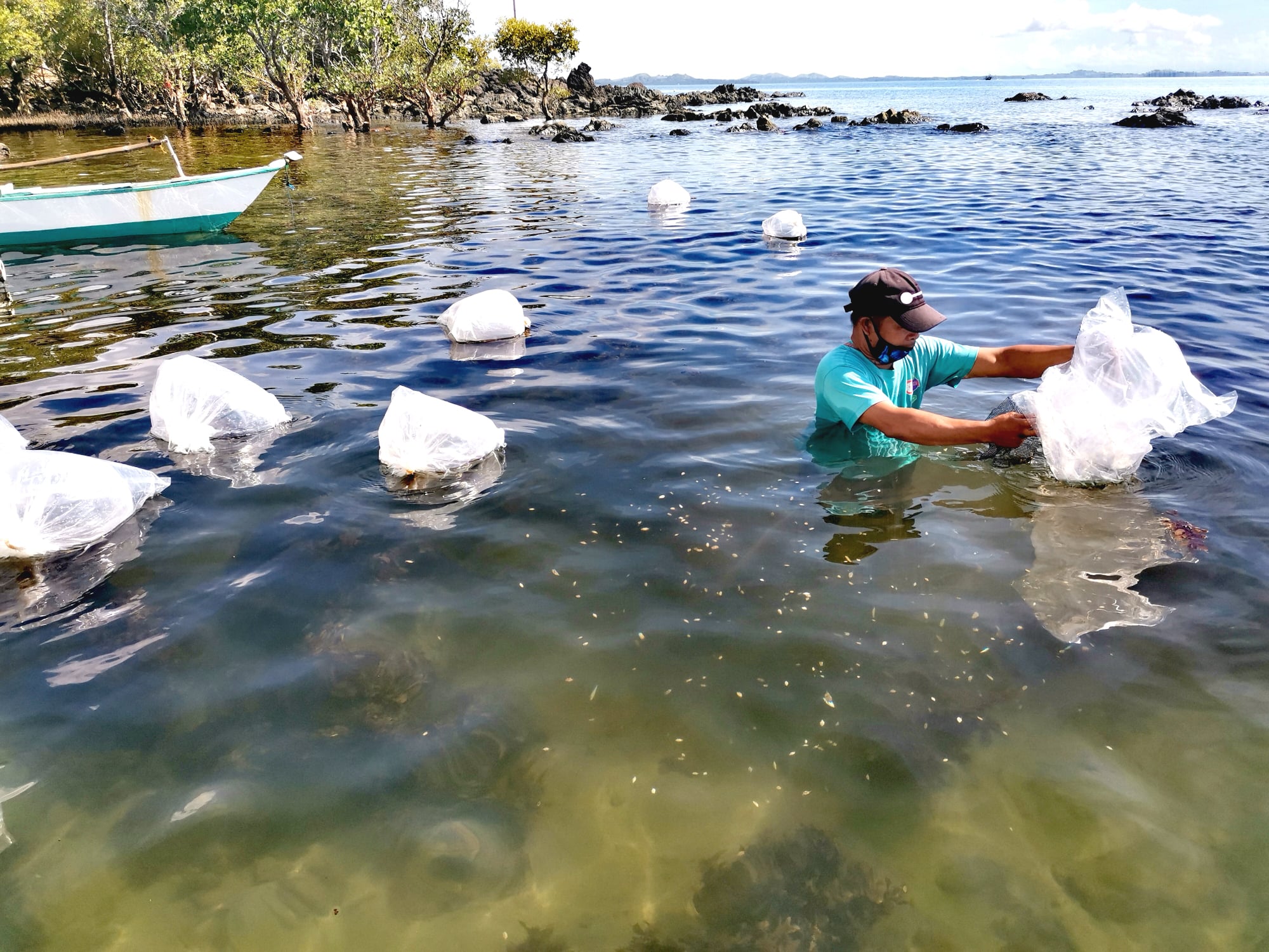 Releasing Crabs